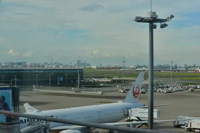 DSC_4061 (Large).JPG